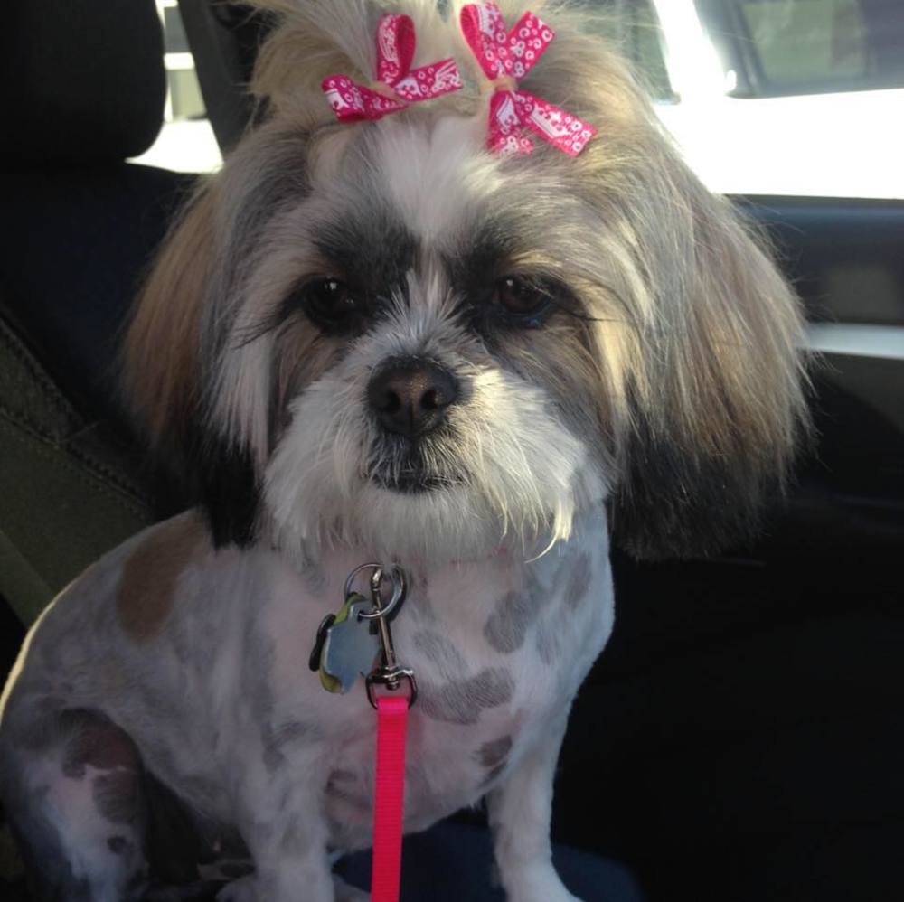 Meet your Posher, Mindy
